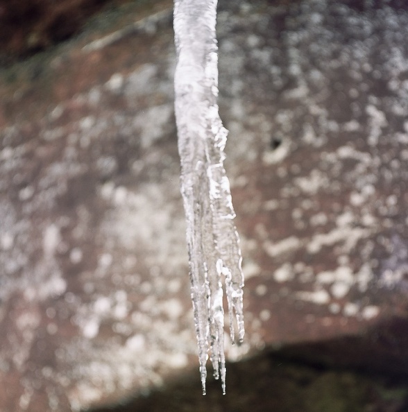 Ice on the Sheltowee Trace.jpg